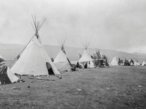 Indigenous