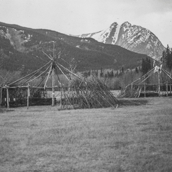 William Brown Residence